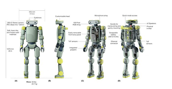 Meet Sprout: How Fauna Robotics is Humanizing the Path to General Intelligence